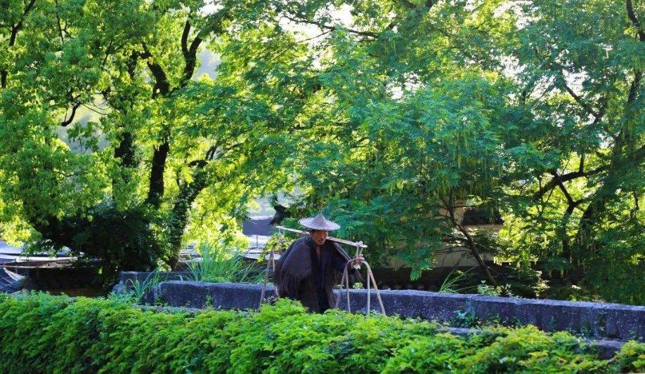 孕妇能吃大棚里的西红柿吗